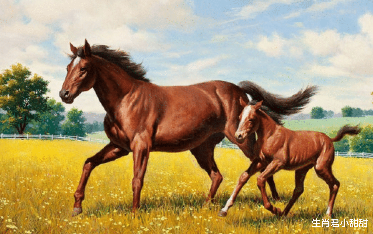 秋招|辛勤付出终会看到回报，一步一个脚印的属马人，迎来事业的黄金期