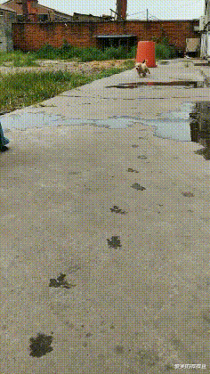 |你在老师办公室见过哪些令人窒息的操作？哈哈哈哈笑到抽筋了