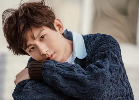 王俊凯|刘诗诗成毅，快乐家族，王俊凯，陈晓刘亦菲，王力宏有新欢了？