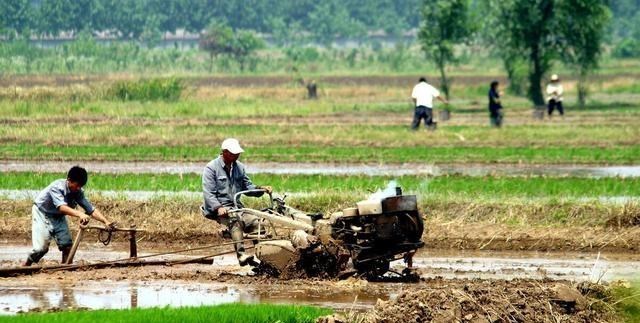 教教你家娃|农村耕地抛荒严重,真是农民的错?其实与这3个原因有关
