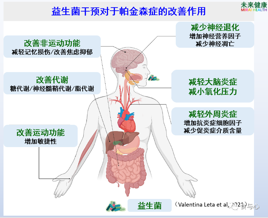 益生菌|补充益生菌能改善帕金森症吗？最新科研结果给出肯定回答