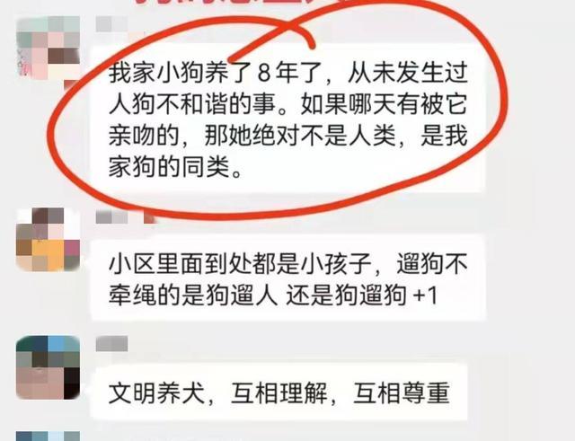 武汉养狗老太逼35岁女子跳楼坠亡:老太家养着恶狗,心中住着恶狼