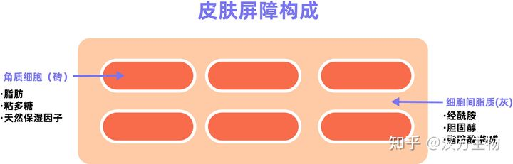 护肤|护肤小tips：如何修复肌肤屏障？