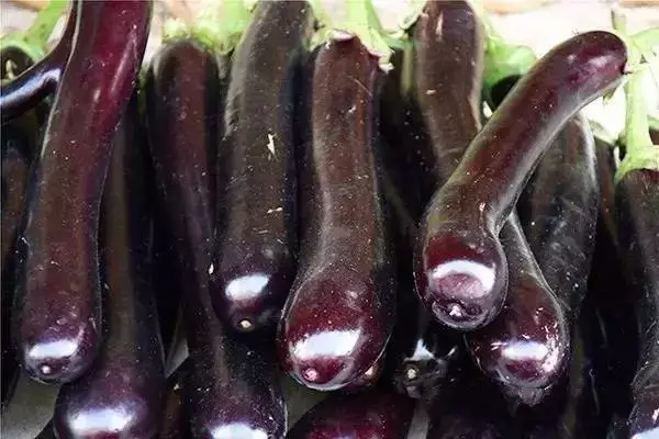 养生|这几种“换血食物”经常吃 可以让你年轻20岁