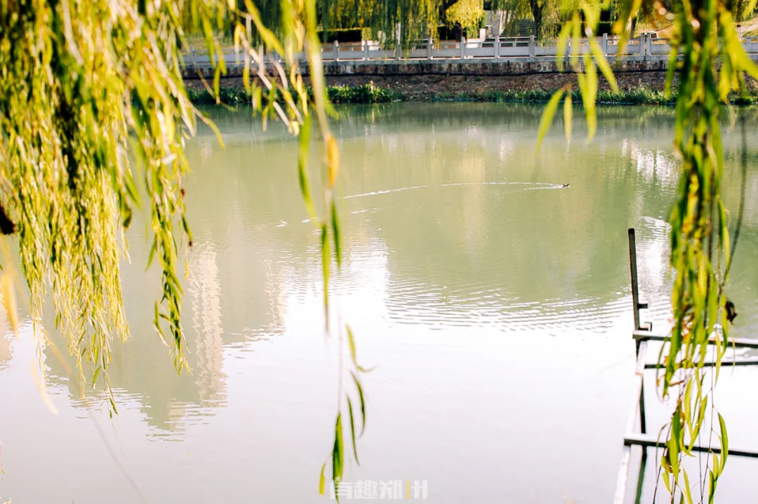 郑州|东风渠畔，这些地方留住郑州的秋天！