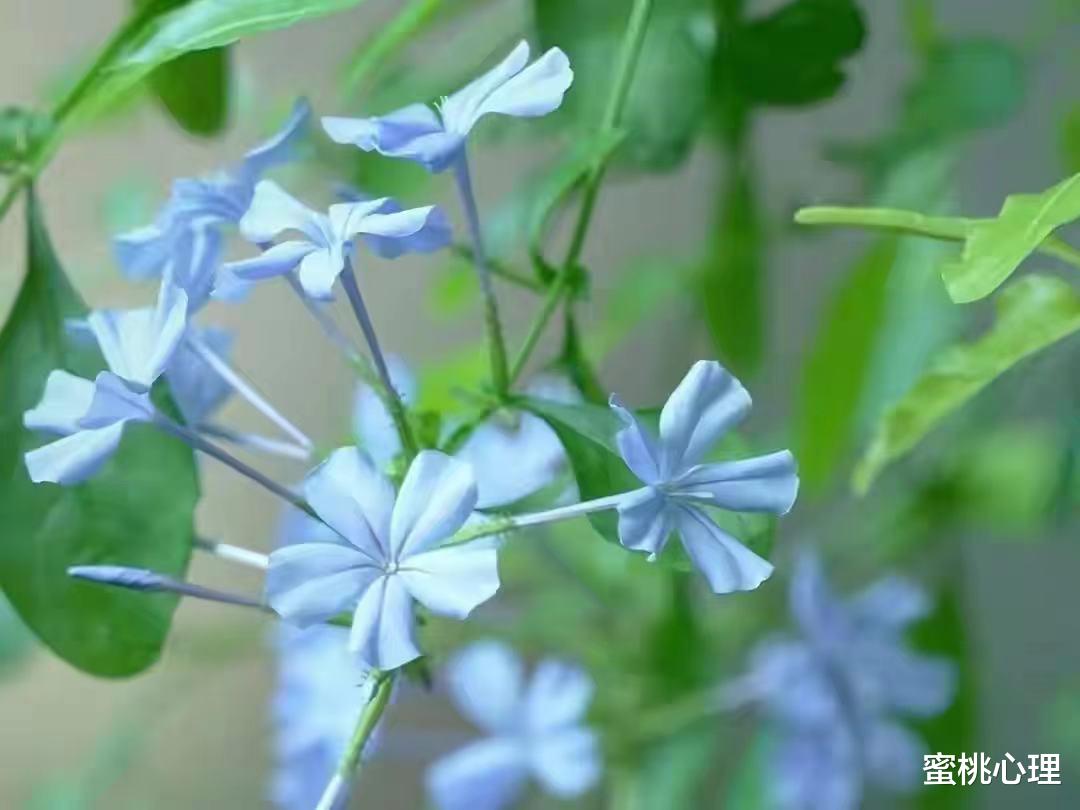 蜜桃心理|心理学：这6个习惯，可以让你心情变好减少抑郁