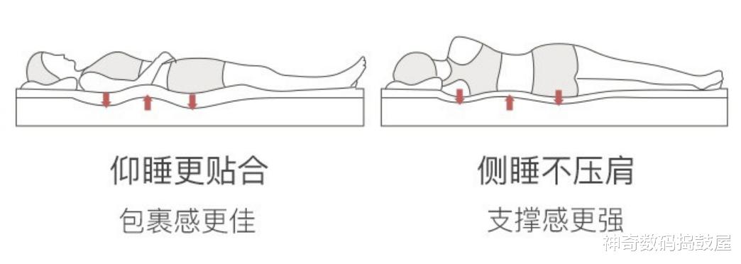 滤镜|床垫材质怎么选？棕垫、乳胶床垫、记忆棉床垫、弹簧床垫哪种好？