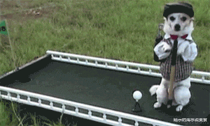 姐姐|“这是阿里巴巴20年前的招聘广告，那时的工资真的不低哈！”