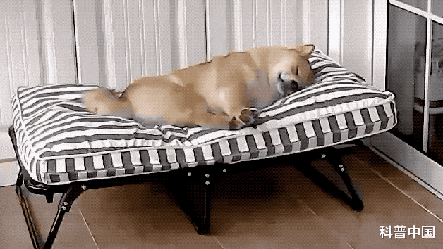 睡眠|一女生睡姿不对导致脊柱侧弯！睡觉究竟侧卧好，还是平躺好？