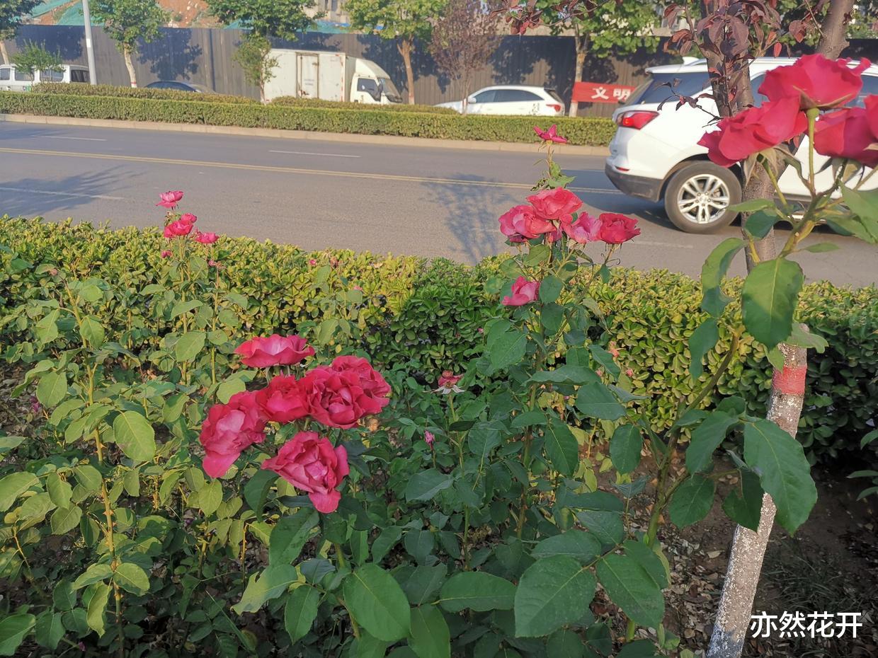 |从三个视角看职场写作