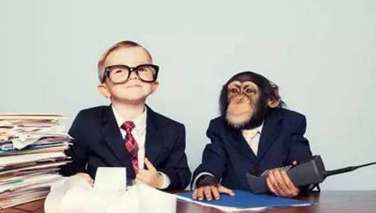 |领导在找茬，你又不想拍马屁奉承，到底该怎么办？