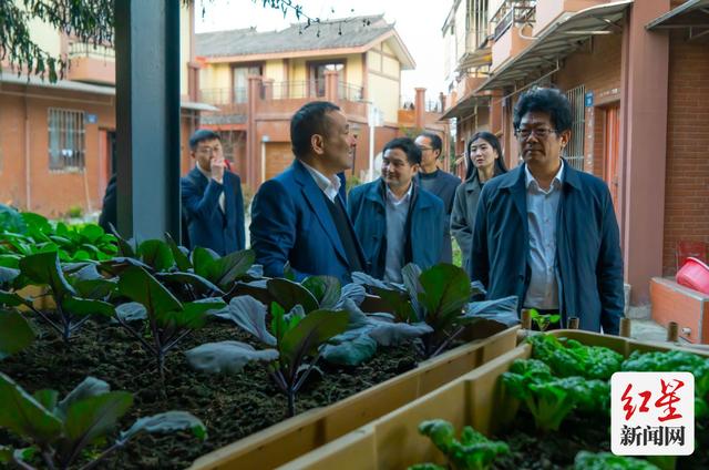 爱看头条 成都双流试点四态合一的“智慧生态价值系统”让高楼大厦充满田园诗意