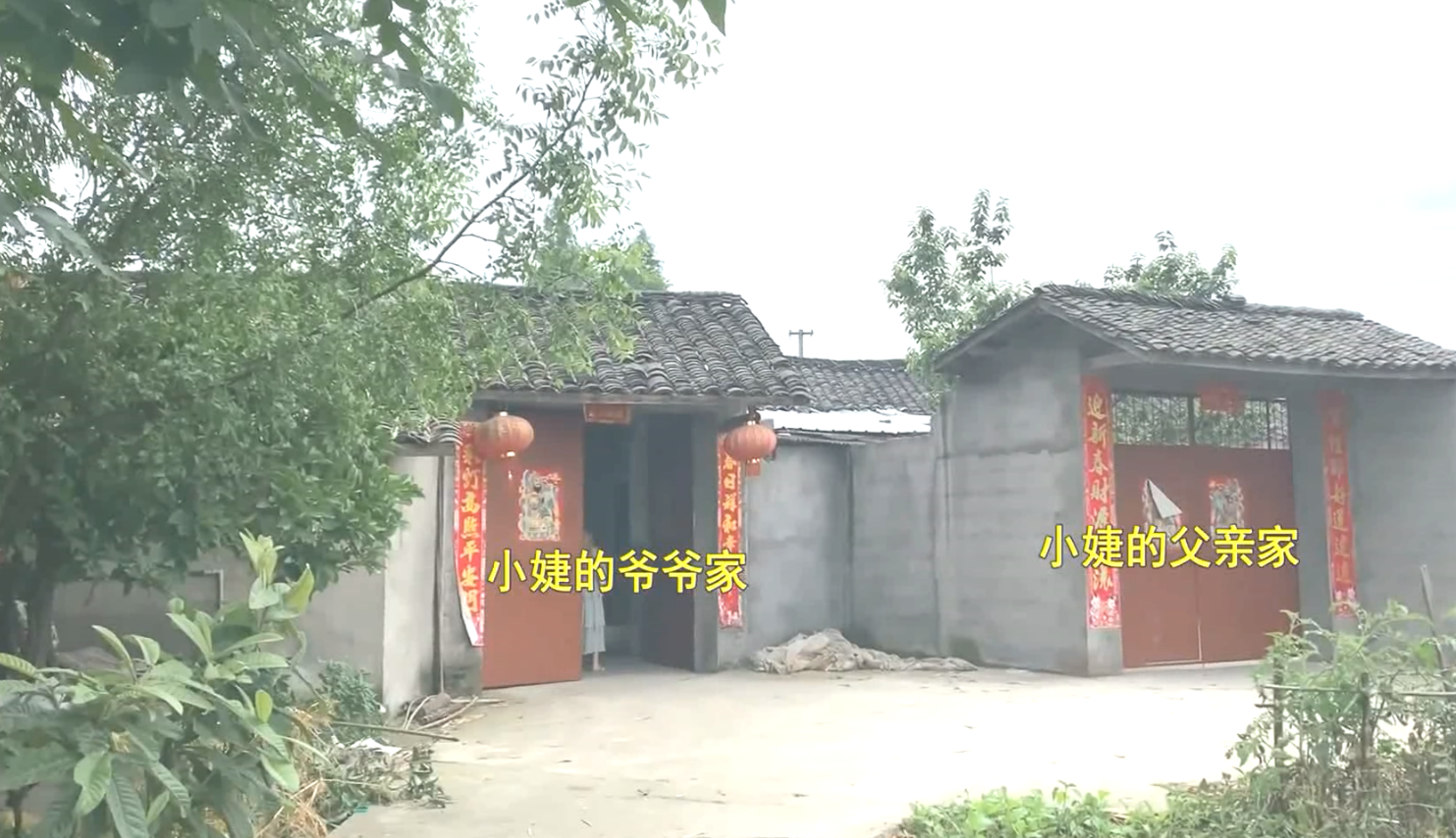 培大大看众生|00后女孩怀孕5个月被弃，男友父亲拒付打胎费：她这是骗人的把戏