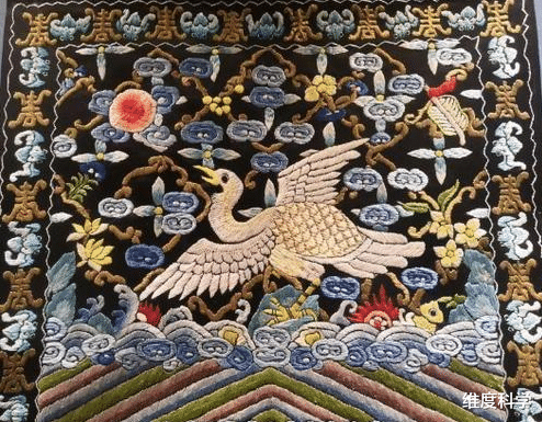 我国特有的“土著”物种:一个是凤凰原型,一个是吃苦小能手!