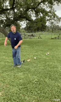 心电图 “现在医生这么大胆了吗，扎双马尾上班？”这心电图能正常吗