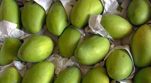 秋天的大冬天 越南上百万吨水果“滞销”，开启甩锅模式，坦言：这次中国负全责