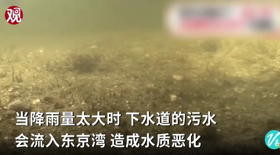 中国跳水队|东京奥运会开“墓”式：艺术可以接地气，但不能接地府