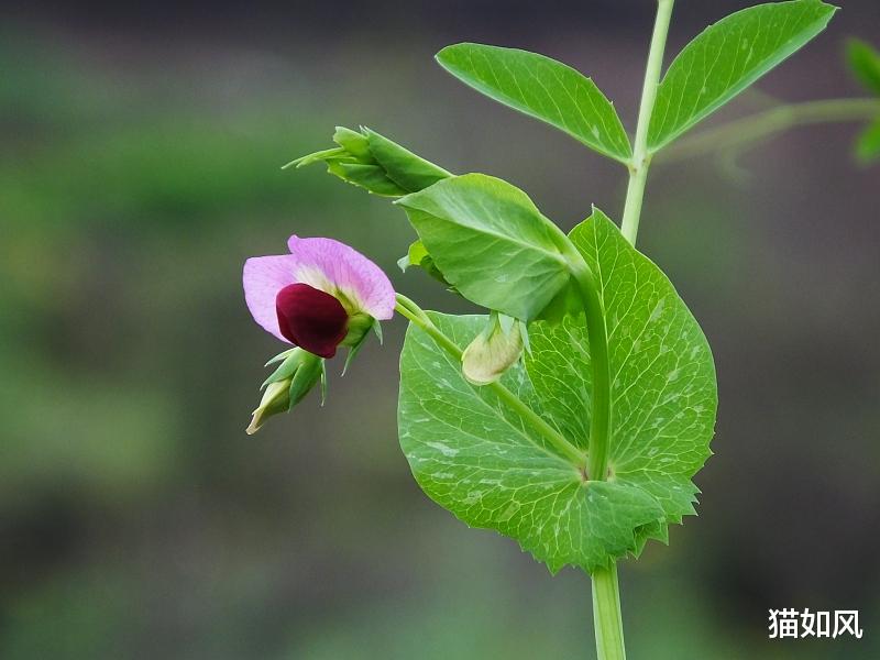 太空 30秒看懂老子和爱因斯坦，到底谁更接近宇宙的本质？