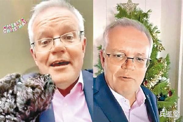 tiktok|大型真香现场！莫里森入驻海外版抖音，和狗一起出镜，不敢开评论