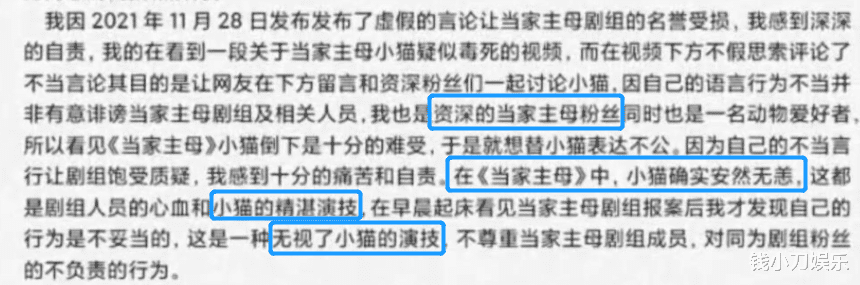 当家主母|《当家主母》反转了？群演道歉，称不该无视小猫的精湛演技