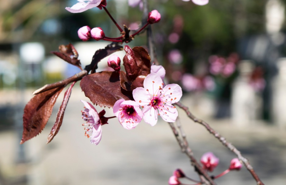 生肖|6月下旬，爱得叛逆，爱得傲娇，3生肖越是深爱，就越不敢承认自己的心思