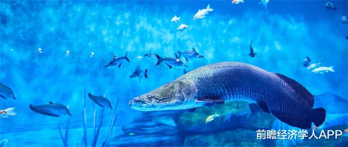 新型冠状肺炎 可规模化生产！英国研究人员受抗冻鱼启发，用合成聚合物重建了冰结合蛋白