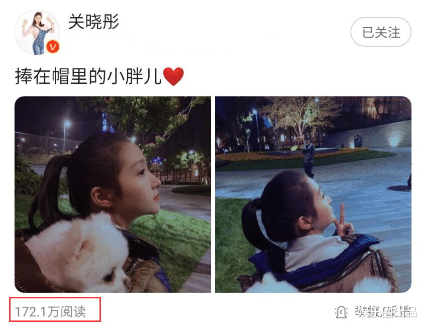关晓彤|关晓彤晒深夜遛狗照，画面中出现第三只手引起热议，张一山被点名