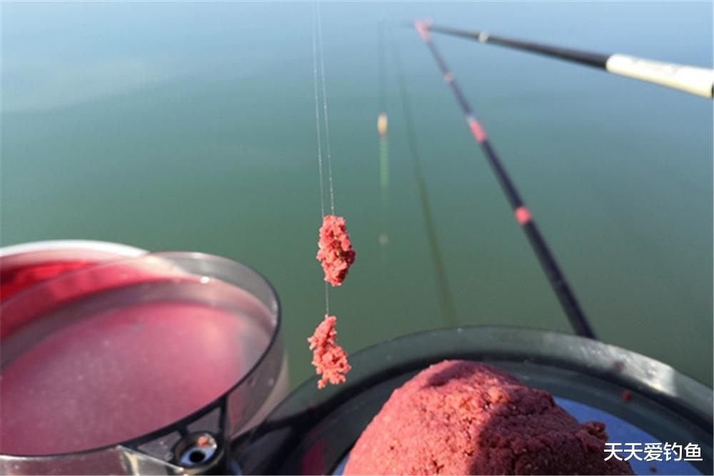 饵料|三伏天大鱼难钓，可以用这种方法钓小翘嘴，拿回家油炸，美滴很！