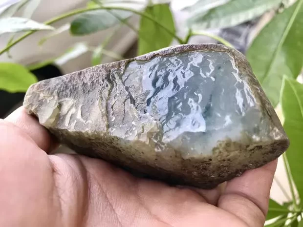 翡翠|不起眼的老后江翡翠原石,开窗暴涨,玉肉似果冻般诱人!