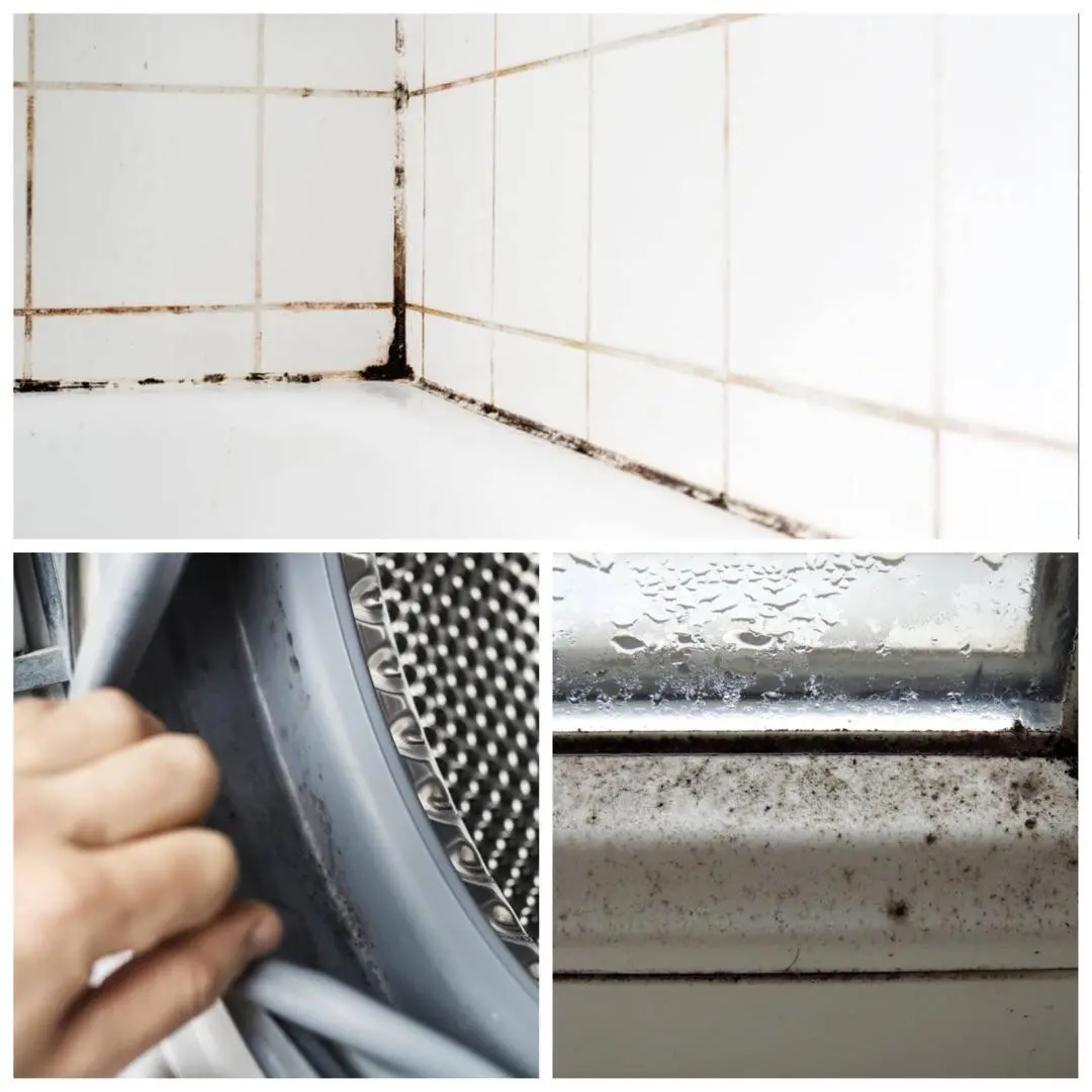 |奉劝大家:卫生间不是越大越好,注意这些小细节,越用越顺心