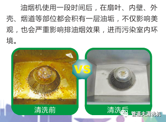 玫瑰|做清洗，你准备好了吗？
