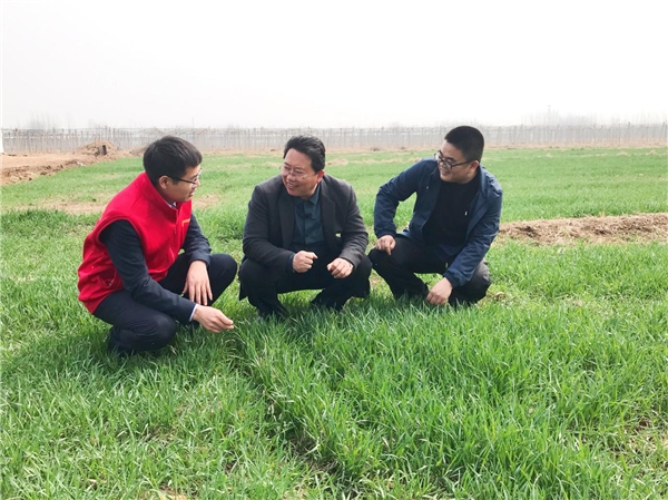 文化关注 服务实体经济跑出“金融加速度”