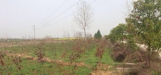 贵州 安徽“热”景区竟搞虚假宣传,网友:自寻短路