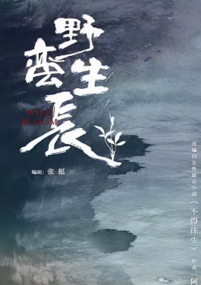 赵丽颖|赵丽颖、王一博再被官媒点名，成为重点关注艺人后星途能否顺畅？