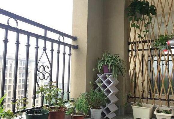 北京市|花300万在北京买36平的房子，被亲戚骂蠢，为了孩子的将来有错吗