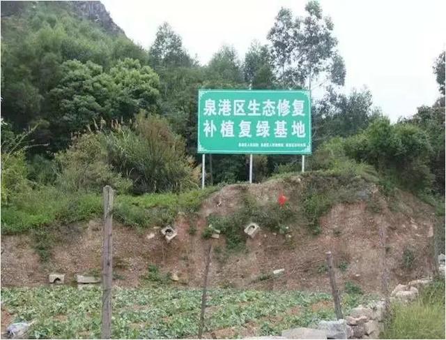 泉州市中级人民法院 【最美法院人】法官陈碧梧的无悔初心