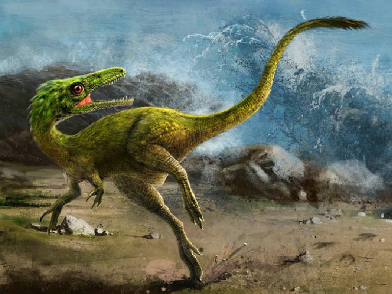 恐龙 5种超恐怖的恐龙，有可能被人类驯养成坐骑吗？庆幸它们已经灭绝