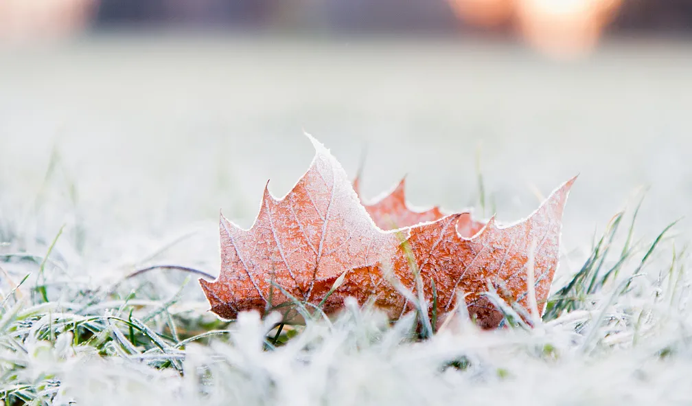 养生|大易通玄:今年秋天我们坚决不养生!