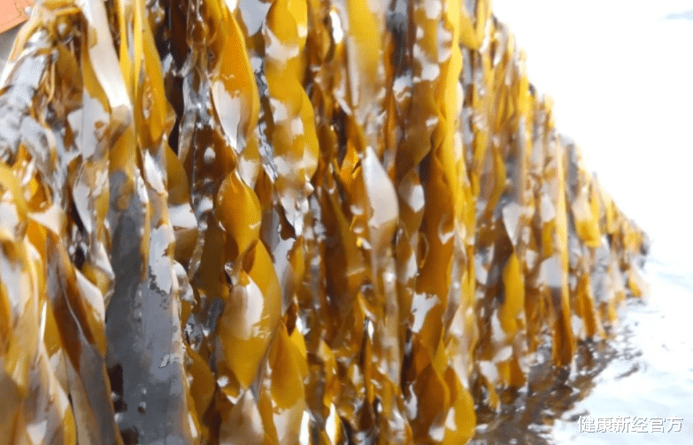 心肌梗塞|木耳是肾衰的发物?医生提醒:要想肾脏健康,“3种蔬菜”莫贪吃