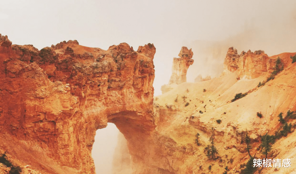 辣椒情感|为什么说很难得到双子座的爱？