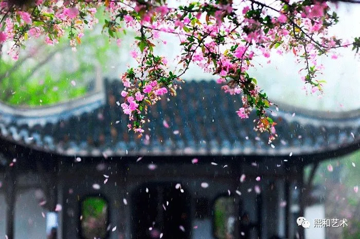 蓉蓉说收藏 春分,正是一年最美时!