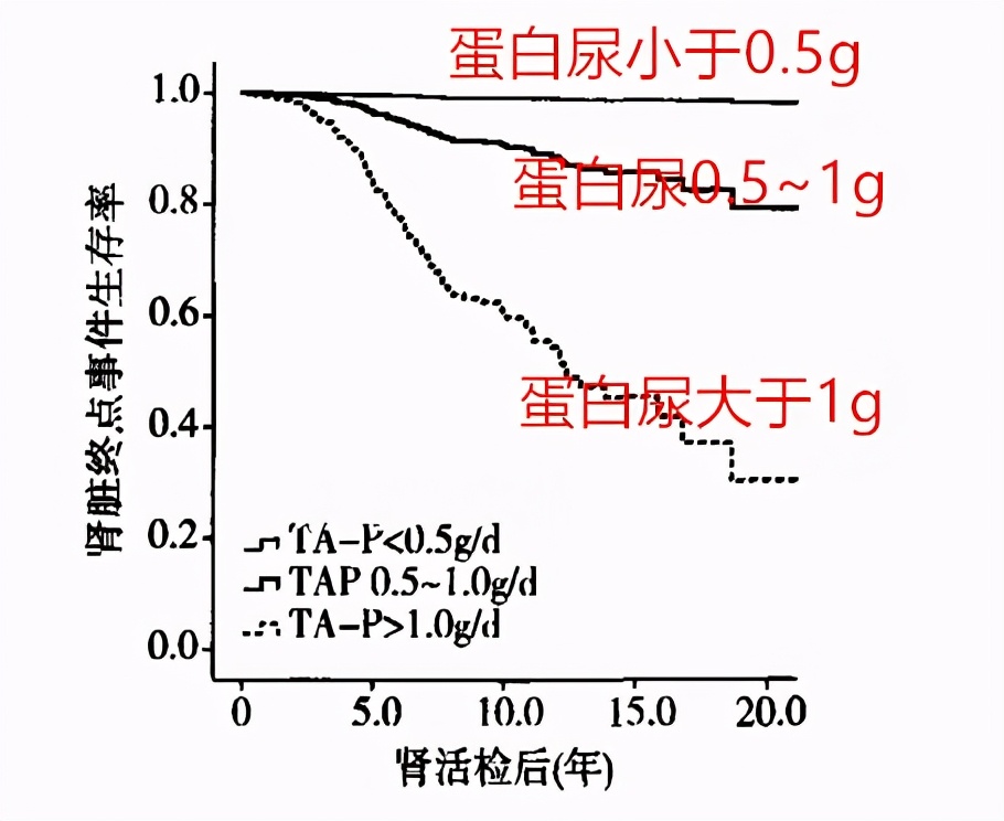 燕麦片|肾病越早稳住2项指标，预防肾衰竭赢一半，比降低肌酐更重要
