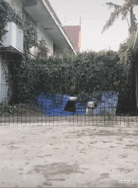 时尚炫点 “我哥给了我瓶这个，很贵吗？喝完以后怎么全身刺挠？”