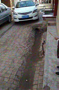 学姐说育儿|大数据误我啊,老夫一身正气为何一直给我推送这些东西,哪里出了问题?