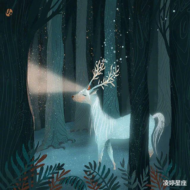 凌婷星座|梦里星辰，皆化作你，当爱走进这个星座的内心，美好还会远吗？