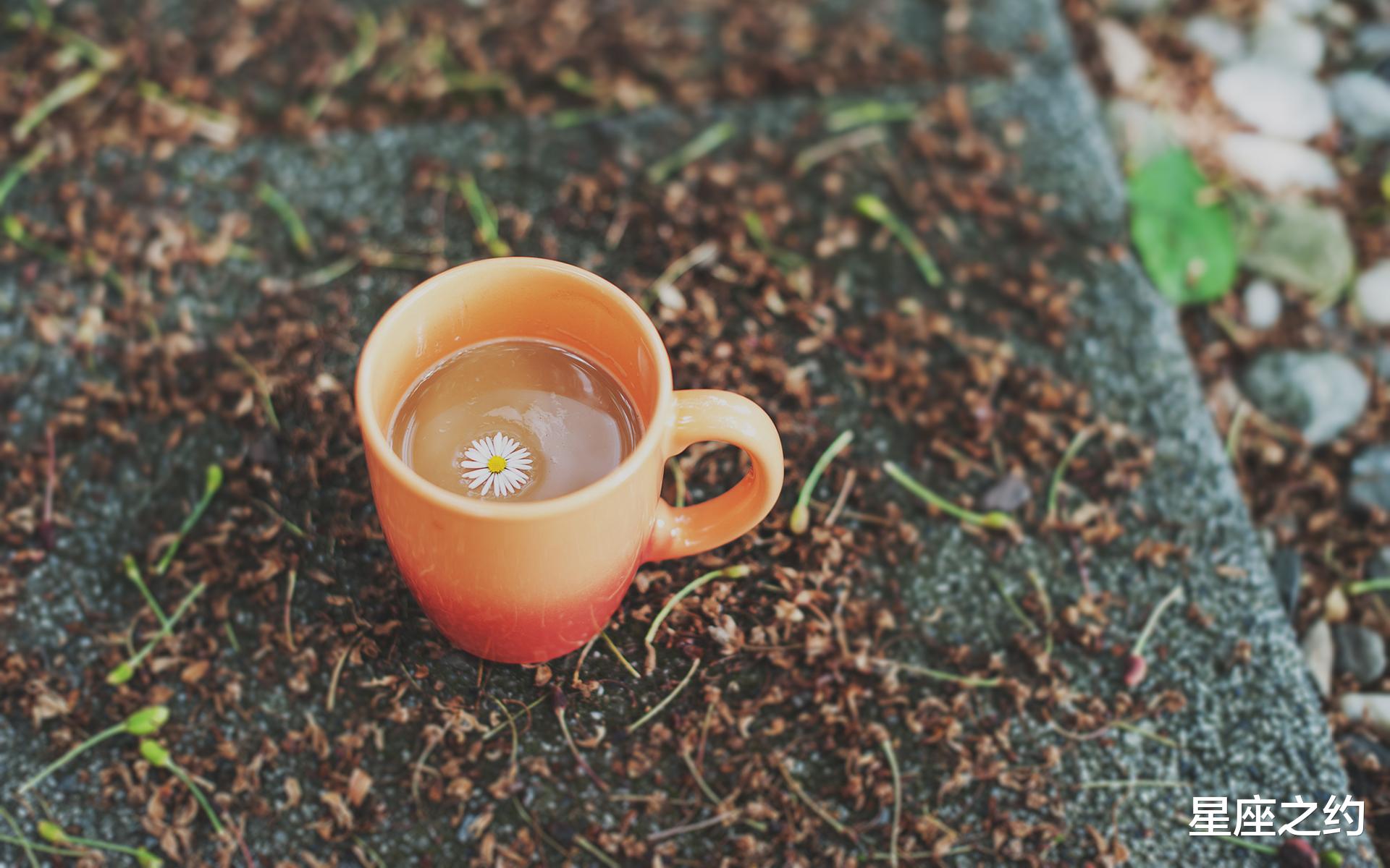 星座之约|9月3日爱情运势:机缘巧合,情有所归的四大星座