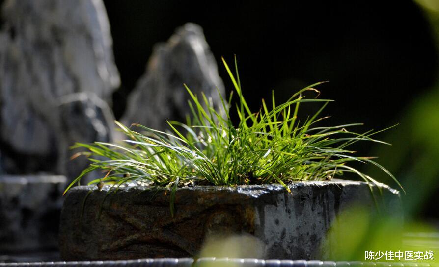 心脏|医案分享：慢性咽炎--二四合剂加减