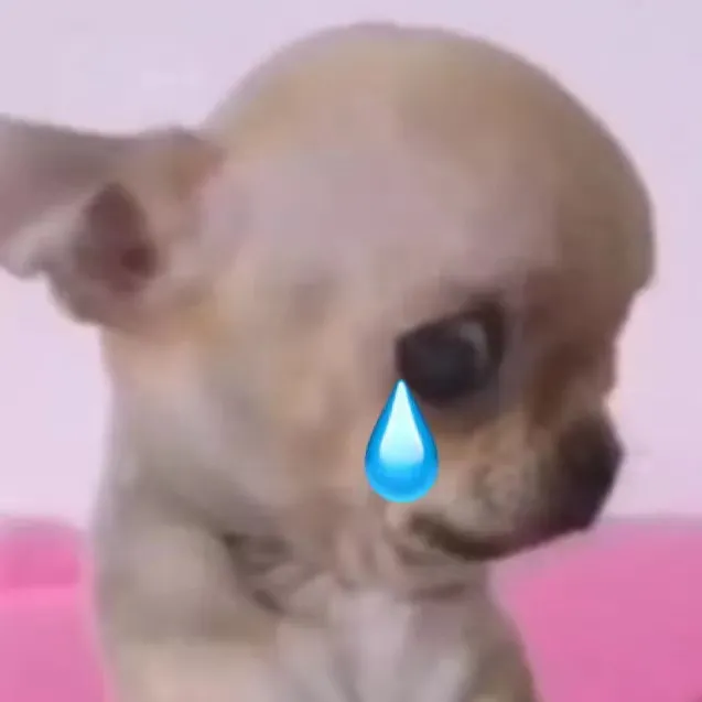 |磕掉的牙不要扔！可能怒亏几万块