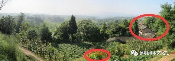|房子盖在坟地上会有什么危害