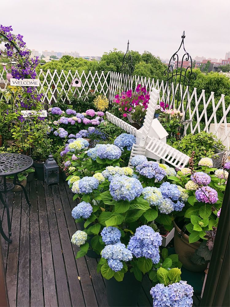 花一年多时间，改造16㎡屋顶露台，荒废屋顶变身“空中小花园”